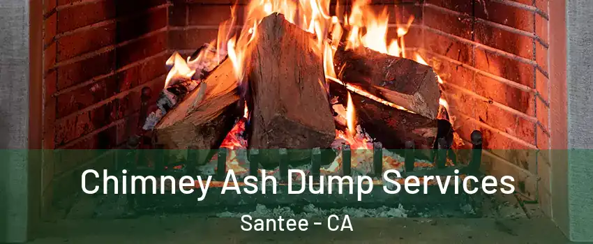  Chimney Ash Dump Services Santee - CA