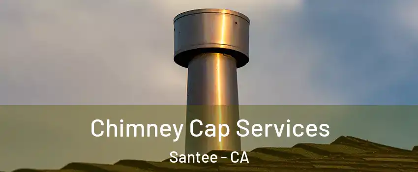  Chimney Cap Services Santee - CA