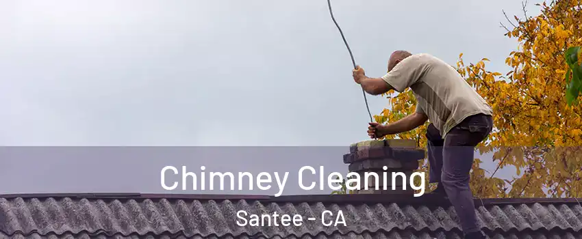  Chimney Cleaning Santee - CA