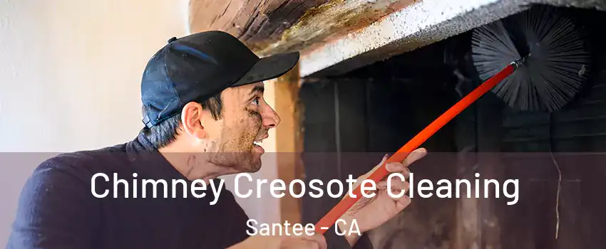  Chimney Creosote Cleaning Santee - CA