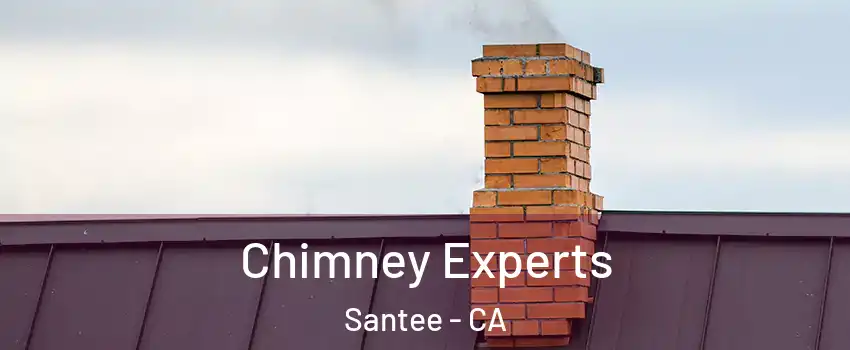 Chimney Experts Santee - CA