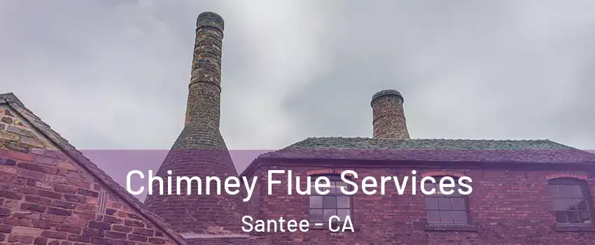  Chimney Flue Services Santee - CA