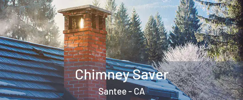  Chimney Saver Santee - CA