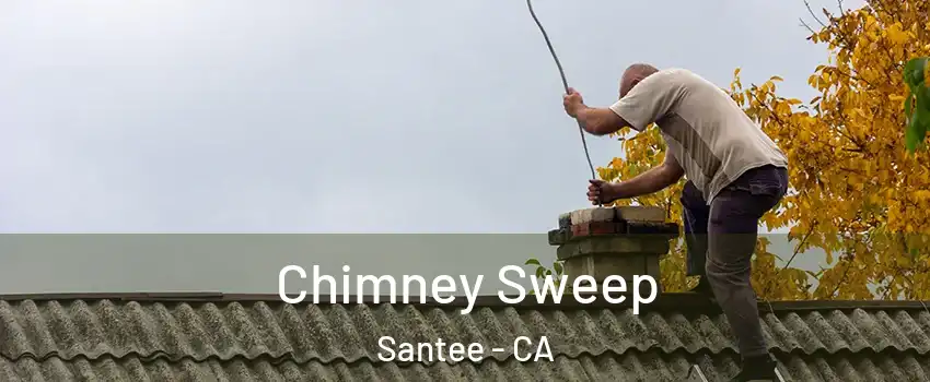  Chimney Sweep Santee - CA