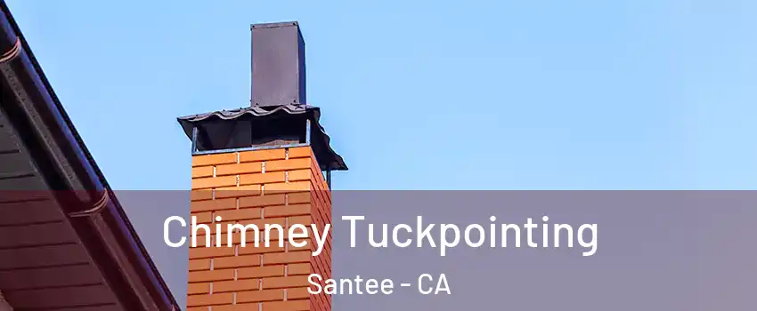  Chimney Tuckpointing Santee - CA