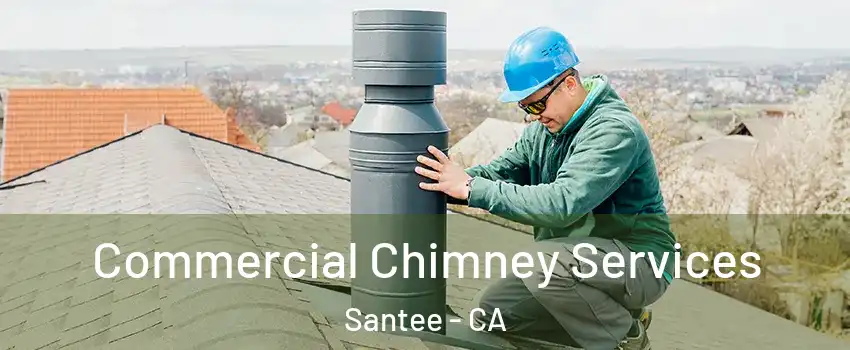  Commercial Chimney Services Santee - CA