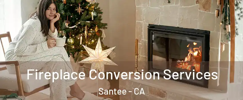  Fireplace Conversion Services Santee - CA