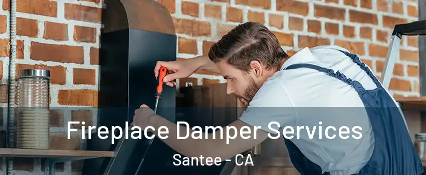  Fireplace Damper Services Santee - CA