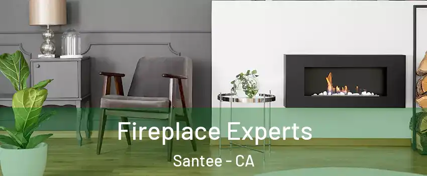 Fireplace Experts Santee - CA