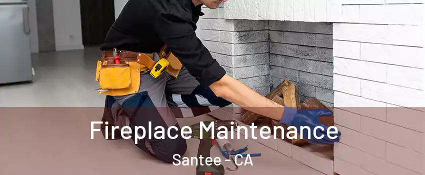  Fireplace Maintenance Santee - CA