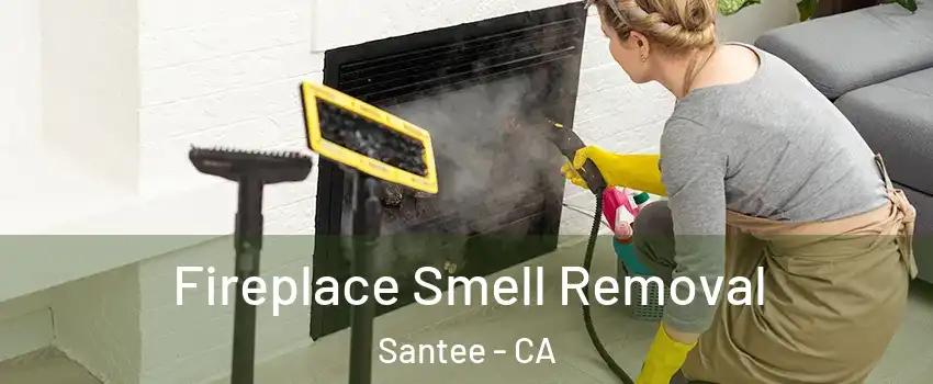  Fireplace Smell Removal Santee - CA