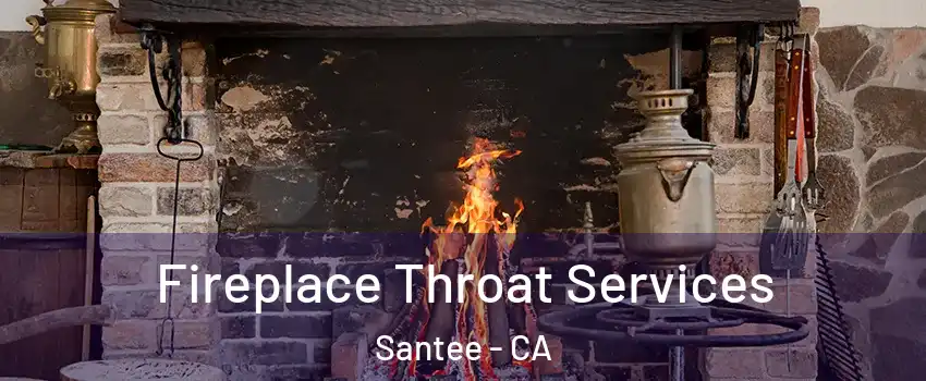  Fireplace Throat Services Santee - CA