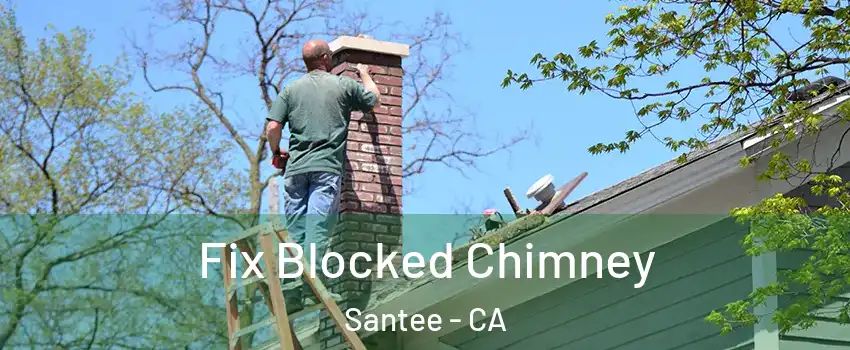  Fix Blocked Chimney Santee - CA