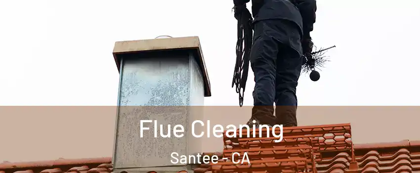  Flue Cleaning Santee - CA