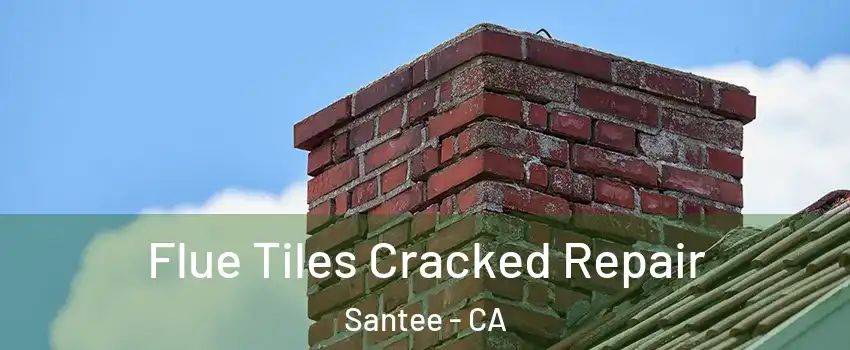  Flue Tiles Cracked Repair Santee - CA