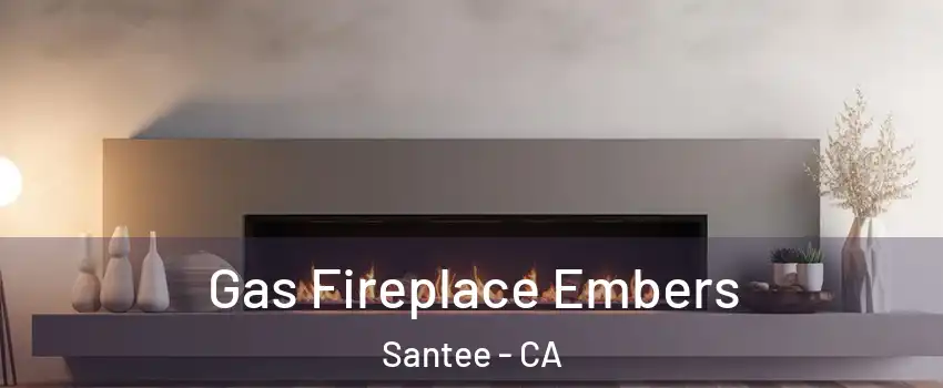  Gas Fireplace Embers Santee - CA