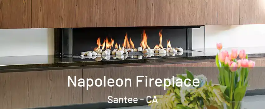  Napoleon Fireplace Santee - CA
