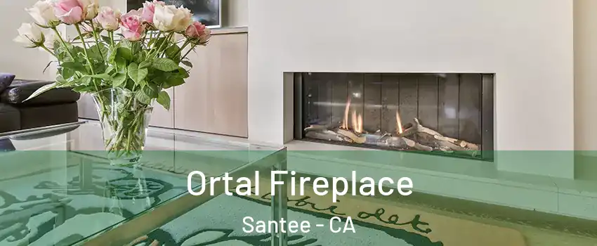 Ortal Fireplace Santee - CA
