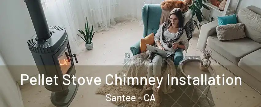  Pellet Stove Chimney Installation Santee - CA